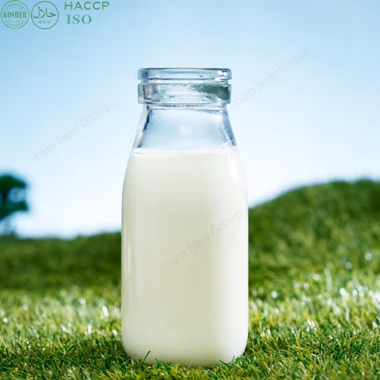 Kitchen Camp Pentola antiaderente in ghisa smaltata piccola pentola per latte con coperchio